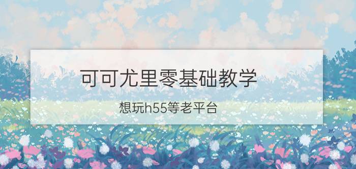 可可尤里零基础教学 想玩h55等老平台，但旧主板成色参差不齐，华南金牌，美可可等杂牌主板是否值得买？